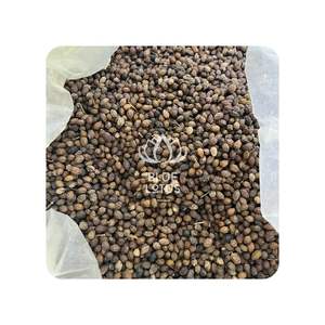 HOT SALE Blue Lotus 2025 Dried Papaya Seeds <b>Enzyme</b> Rich Superfood For Daily Health - Product Image 1