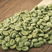Café spécial du Vietnam, grains de café vert Arabica, taille 16, 100% pur naturel, en vrac pour torréfaction, exportation directe d'usine