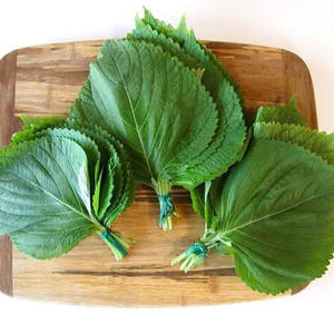 Perilla vietnamita cultivada de manera sostenible: su fuente de hierbas limpias - Product Image 4