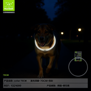 Collare Fluorescente per Cani, Accessorio di Sicurezza Facile da Vedere in Ambienti Scuri - Product Image 3