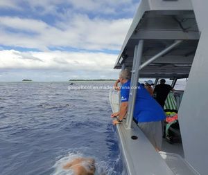 Excursión de Buceo en Bote con Motor que Lleva a los Buceadores a Ubicaciones Fuera de la Costa para Actividades de Buceo Recreativo y Profesional - Product Image 2
