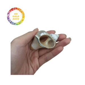 Elegantes servilleteros hechos de conchas marinas reales Toque costero para ajustes de mesa en bodas, resorts y fiestas en el jardín - Product Image 4