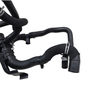 Manguera Inferior del Radiador para Ford Focus ST-LINE Sedán (MK4) JX61-8B273-F R0DB Hybrid 1000 (18>) - Product Image 5