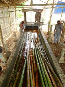 เสาไม้ไผ่ดิบสำหรับตกแต่งงานฝีมือและรั้วกลางแจ้ง - Product Image 5