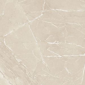 Descubra fabricantes indios de confianza de azulejos de porcelana de 600x600 mm para espacios de vida modernos, azulejos con aspecto de mármol de buena calidad. - Product Image 5