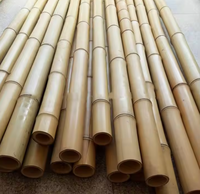 Bâton de support de jardin naturel en bambou pour plantes, arbres et légumes | Fourniture de jardinage écologique durable