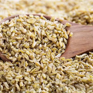 เม็ดพลาสติกธรรมชาติขนาดเล็ก ทำจากวัสดุพีวีซี ชั้นเดียว สำหรับเพาะต้นกล้าที่บ้าน (ข้าวสาลีสีเขียว) - Product Image 1