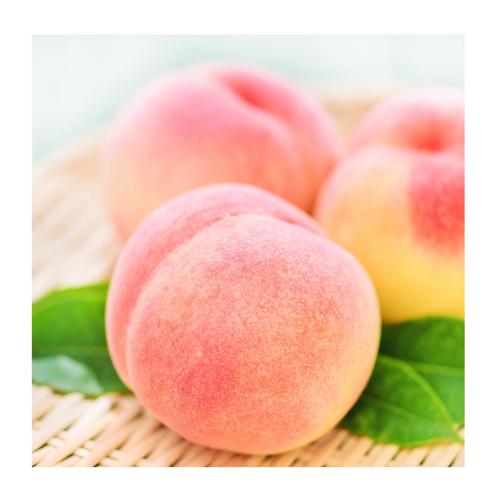 Lessons Learned: Just Peachy Peach wine, Wine recipes, Peach
