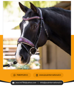 Edición limitada Cosmopolitan Snaffle Bridges Brida de cuero anatómico Proveedor Precio de fábrica al por mayor - Product Image 6