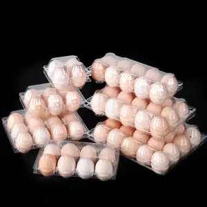 Bandeja plástica para ovos, 30 furos, caixa com 4 6 8 10 12 15 18 20 células, recipiente descartável transparente para embalagem de ovos de galinha