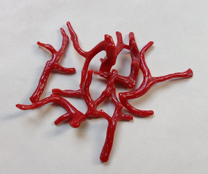 ปะการัง!! หินปะการังอิตาลีธรรมชาติสี100% ปะการังแดงกิ่งไม้ปะการังที่ได้รับการขัดเกลาอย่างดีคุณภาพระดับ AAA - Product Image 1