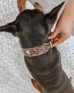 Collier en cuir de luxe Wild Tanner Style durable et classique avec personnalisation de la nature internationale divine rencontre la noblesse - Product Image 3