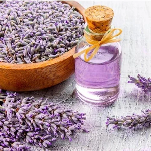 Huile essentielle de lavandin 100% pure et naturelle, florale, musquée, douce, fraîche, qualité supérieure, certifiée ISO, durée de conservation de 2 ans, étiquette privée - Product Image 5