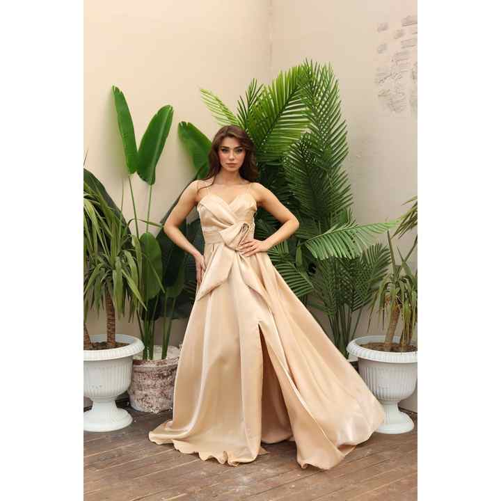 Special Design Women's Evening Dress