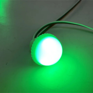 RGB lập trình 30 Mét Công viên giải trí đèn 12V <span class=keywords><strong>24V</strong></span> <span class=keywords><strong>pixel</strong></span> LED điểm đèn - Product Image 1