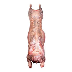 Carcasse d'agneau complet de qualité supérieure congelée Livraison rapide et meilleur prix Grosses remises sur la viande de mouton prête à l'exportation - Product Image 2