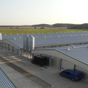 Voir l'offre Las aves de corral cobertizo la casa <span class=keywords><strong>del</strong></span> edificio de la granja de pollos para el edificio de acero <span class=keywords><strong>del</strong></span> diseno de la granja - Product Image 1