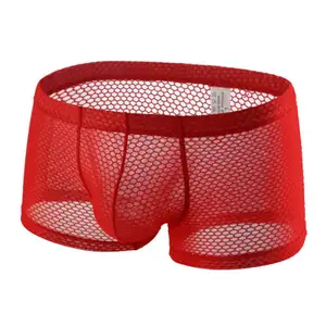 Nieuwe Oem 2024 Custom Groothandel Mannen Mesh Sexy Doorzichtige Buidel Boxer Slips Holle Korte Broek Ondergoed