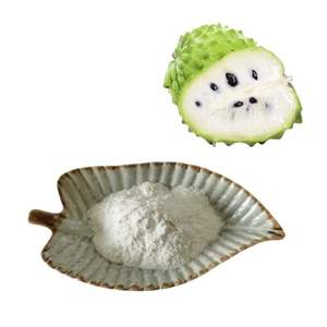 Vente en gros au Vietnam de poudre d'extrait de corossol lyophilisé pur de fruit de graviola naturel de marque EXPAD - Product Image 1