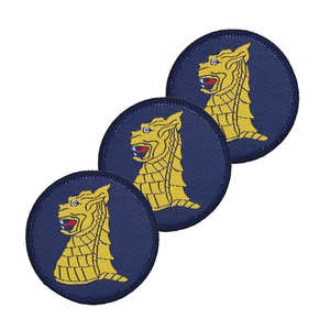 Insignia Personalizada de 2 Colores con Bordado Rojo del Equipo de Combate de la 1ª Brigada de Aviación TRF X3 TRF Pack - Product Image 4