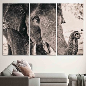 Art mural en verre trempé motif éléphant : Impression sur toile animale, LOT DE 3 TOILES - Product Image 1