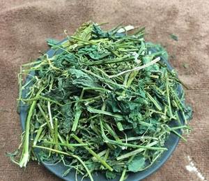 Ramas y Hojas de Melón Amargo Secas, Ingrediente Botánico Natural para Compradores Globales - Product Image 1