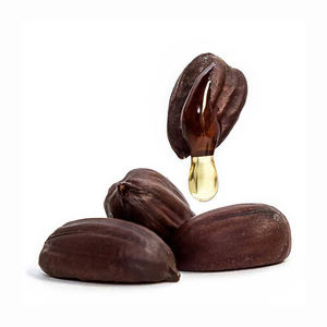 Semillas de Jojoba Naturales de Alta Pureza, Certificadas ISO, Quick Food LLC, Origen EE. UU., 2 Años de Vida Útil, Servicios OEM/ODM, Empaque Personalizado - Product Image 1