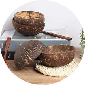 Tazón de cáscara de coco de alta calidad utilizado para comer ensalada de frutas en escabeche // Lima - Product Image 1