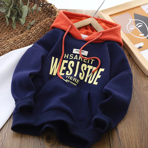 Usine directe Logo personnalisé coton bouffée impression plaine polaire éponge poids lourd unisexe survêtement 2 pièces ensemble sweats à capuche enfants sweats à capuche - Product Image 4