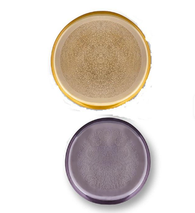 Plateau rond en métal fini multicolore Ustensiles de cuisine et de restaurant pour la maison et l'hôtel Outils décoratifs pour salade - Product Image 6