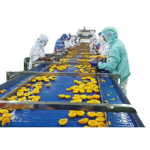 Hojas de Espinaca Enlatadas Conservadas en Salmuera para Restaurantes, Suministros, Mercados Minoristas, Kits de Comida, Uso Internacional - Product Image 2