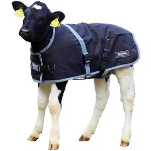 Meilleure qualité 70cm Super Deluxe Instrument vétérinaire manteau pour veaux haute imperméable vache ferme couverture respirant mollet veste - Product Image 1