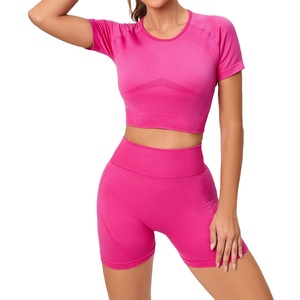 Nouvel arrivage Ensemble de yoga 2 pièces de haute qualité à taille moyenne pour femmes, respirant, manches courtes, logo avant personnalisé, fermeture élastique solide - Product Image 1