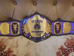 Ceintures de championnat de lutte, trophées, médailles et récompenses - Symbole ultime de la victoire et de l'excellence en cuivre/alliage de cuivre - Product Image 6