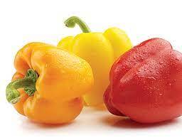 พริกหยวกสดรสเผ็ดเกรดพรีเมี่ยมสีแดงสดใหม่ล่าสุดจากเนเธอร์แลนด์ - Product Image 6