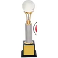 Trophée Globe Terrestre Métallique Écologique Haut de Gamme pour Entreprises, Poli, Gravure Personnalisée, Plusieurs Tailles, Récompenses Professionnelles pour Bureau