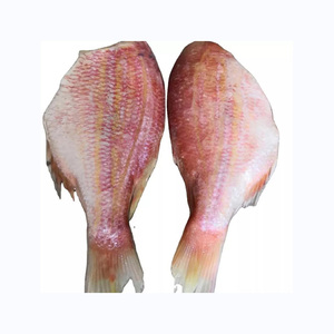 ขายปลาทะเลสีแดง & สีดำแช่แข็ง - Product Image 2