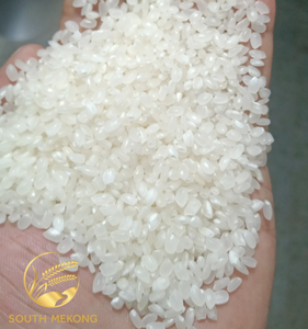 Arroz integral japónica de alta calidad, textura suave seca a precio mayorista - Product Image 3