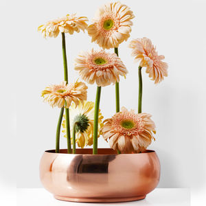 Home Decorative Metal Flower Bowl <b>Vase</b> With <b>Copper</b> Finishing Modern Aluminum Flower Pots for Home and Table Decoration - Product Image 5