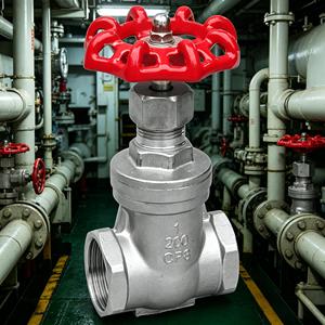 Vanne à opercule filetée en acier inoxydable CF8M DN15-DN100 PN10 PN16 - avec volant pour eau, huile, gaz - Product Image 3