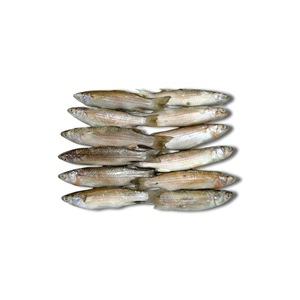 Mulet argenté entier surgelé IQF/BQF de qualité supérieure, transformé et emballé en vrac au Vietnam pour les marchés de gros de produits de la mer - Product Image 3