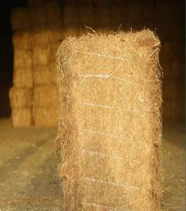 Alimento para Animales de Primera Calidad, Heno de Alfalfa, para Perros, Ganado, Caballos, Camellos, Ovejas, Secado Natural al Sol, Grado Alimenticio, 25 kg/bolsa - Product Image 3