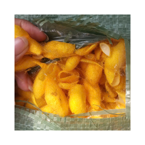 Natural Dye-Free Golden Cocoons | Sustainable Silk Farming | OEM/ODM Customization Available - Product Image 1