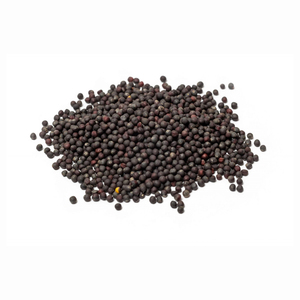 Tự nhiên Bông Cải Xanh chiết xuất/tinh khiết Bông Cải Xanh nảy mầm hạt giống với số lượng lớn bán Bông Cải Xanh hạt giống để bán - Product Image 6