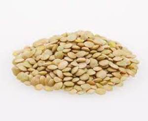 Nouvelles lentilles vertes biologiques séchées en vente - Product Image 6