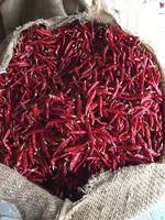 Piment rouge séché en gros à prix abordable, transformé selon le procédé AD, 100 % naturel