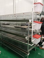 Nouvelle cage à poules pondeuses de type H avec 3 à 8 niveaux en acier galvanisé, facile à nettoyer, pour élevage commercial de volailles