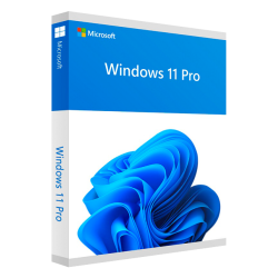 Windows 11 Professionnel - Product Image 1