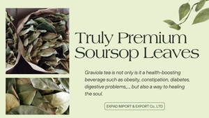100% Corossol naturel de qualité supérieure vérifié sans OGM Feuilles de Corossol séchées Vente en gros du Vietnam Tisane sans caféine - Product Image 4