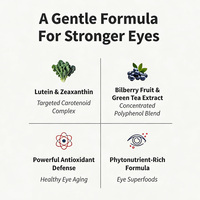 Capsules de soutien visuel à l'extrait de myrtille avec vitamines A, C et zinc – Complément pour la santé de la vue – Formule nutritionnelle pour le soin quotidien des yeux – OEM